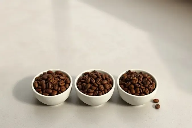 Classificação de café com grãos em diferentes níveis de torra apresentados em tigelas de cerâmica